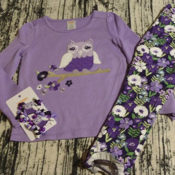 Gymboree Whooo's Cute 3T Leggings Owl Long Sleeve Shirt Hair Curly Clips Outfit - Picture 1 of 3